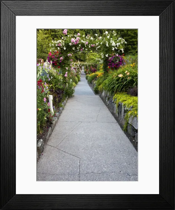 Framed Print : DDE-90028058 Framed Print : DDE-90028058