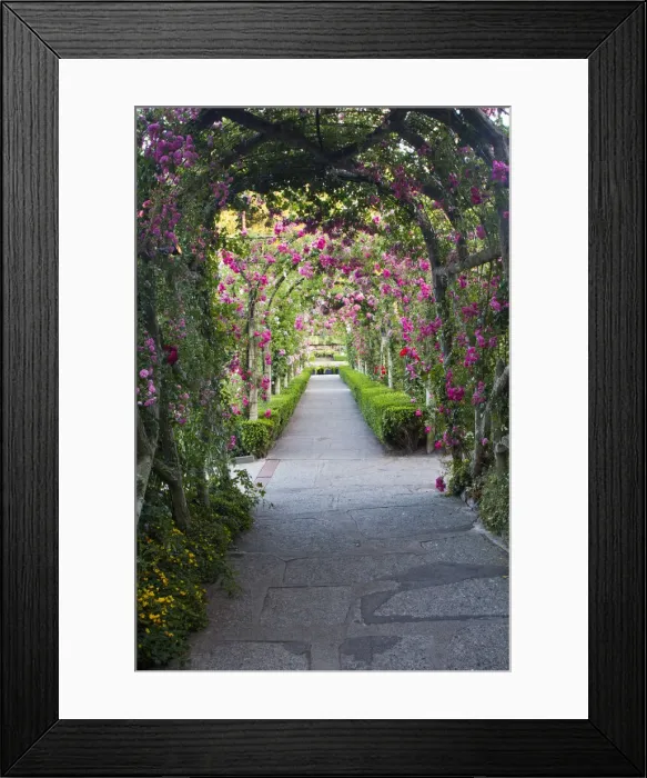 Framed Print : DDE-90028059 Framed Print : DDE-90028059