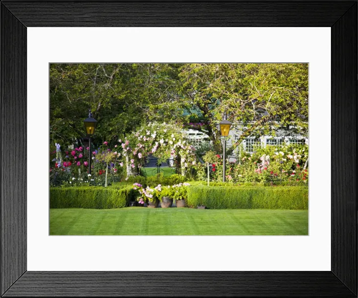 Framed Print : DDE-90028060 Framed Print : DDE-90028060
