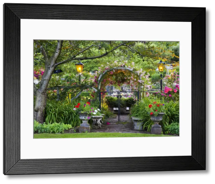 Framed Print : DDE-90028061 Framed Print : DDE-90028061