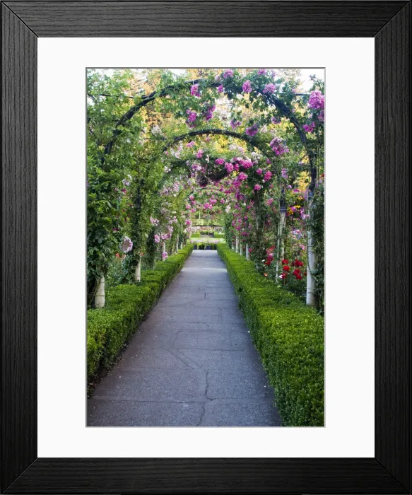 Framed Print : DDE-90028062 Framed Print : DDE-90028062