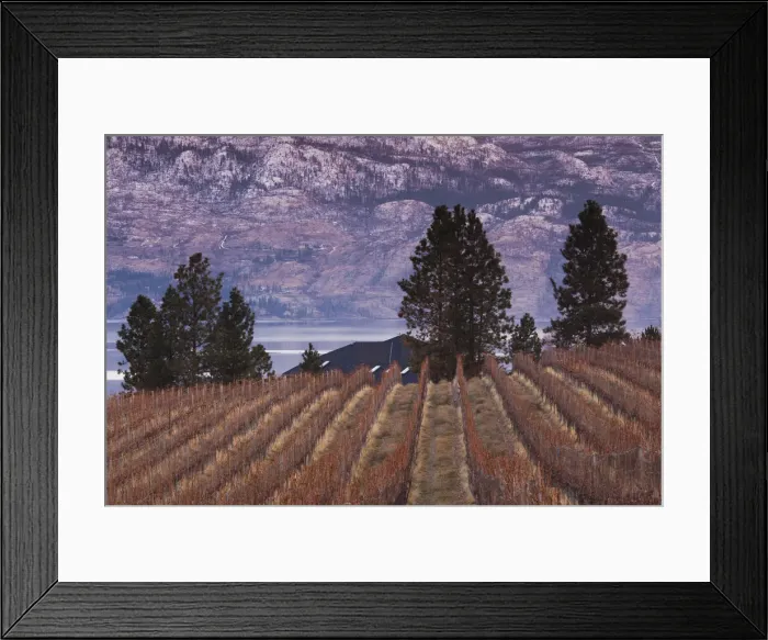 Framed Print : DDE-90028064 Framed Print : DDE-90028064