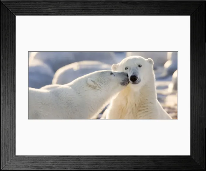 Framed Print : DDE-90028067 Framed Print : DDE-90028067
