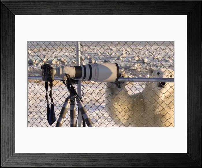 Framed Print : DDE-90028068