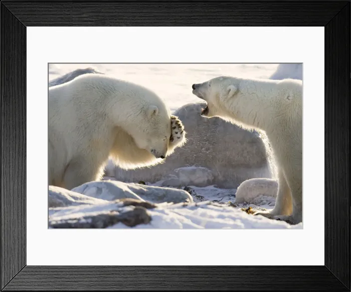 Framed Print : DDE-90028073 Framed Print : DDE-90028073