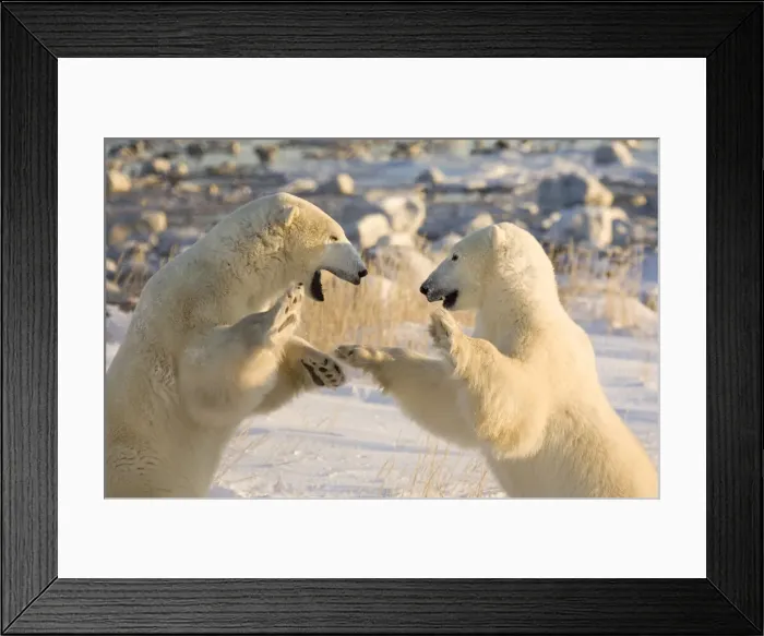 Framed Print : DDE-90028071 Framed Print : DDE-90028071