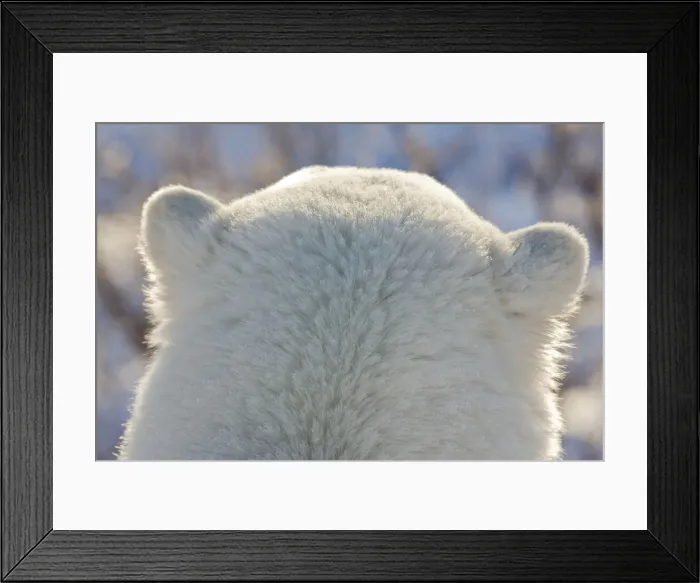Framed Print : DDE-90028080 Framed Print : DDE-90028080