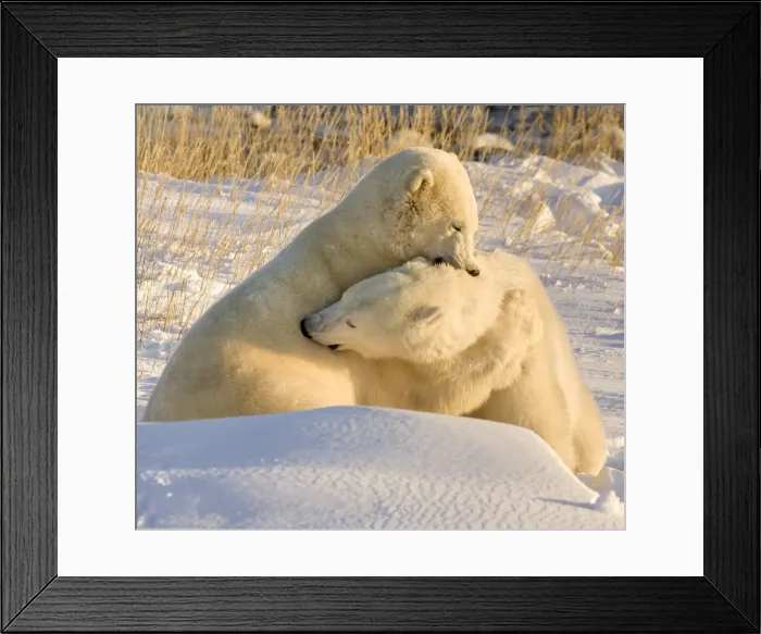 Framed Print : DDE-90028091 Framed Print : DDE-90028091