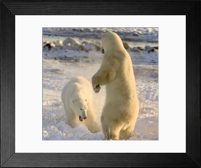 Framed Print : DDE-90028092 Framed Print : DDE-90028092