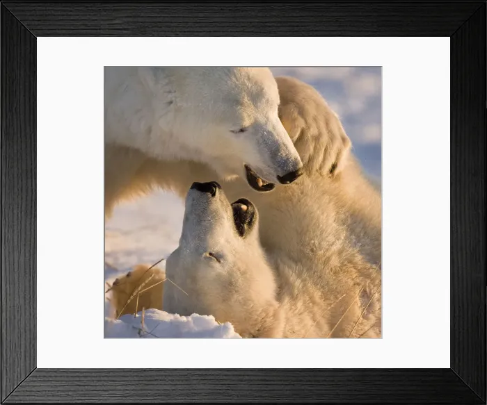 Framed Print : DDE-90028093 Framed Print : DDE-90028093