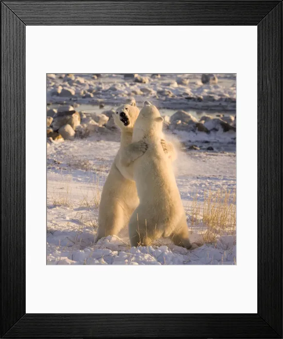 Framed Print : DDE-90028094 Framed Print : DDE-90028094