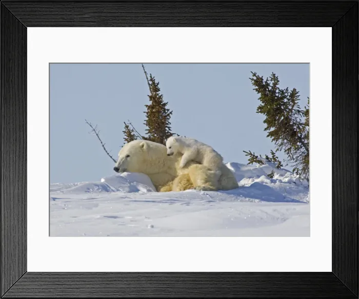 Framed Print : DDE-90028097 Framed Print : DDE-90028097