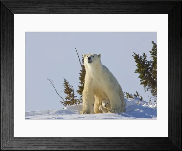 Framed Print : DDE-90028099 Framed Print : DDE-90028099