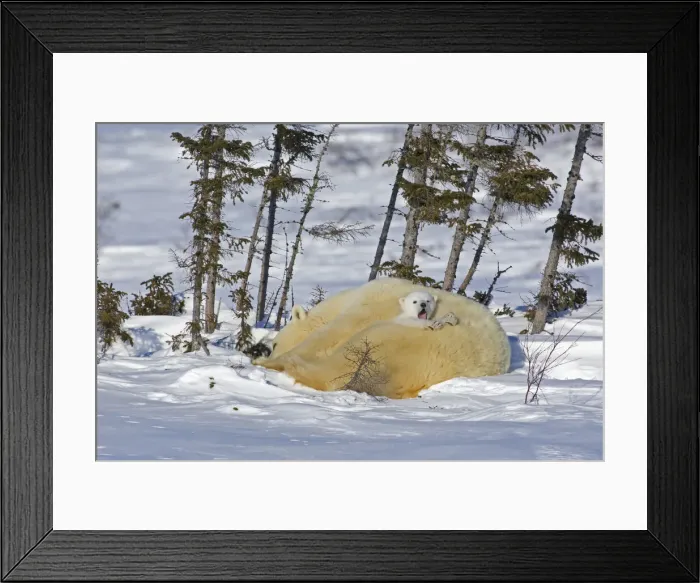 Framed Print : DDE-90028104 Framed Print : DDE-90028104
