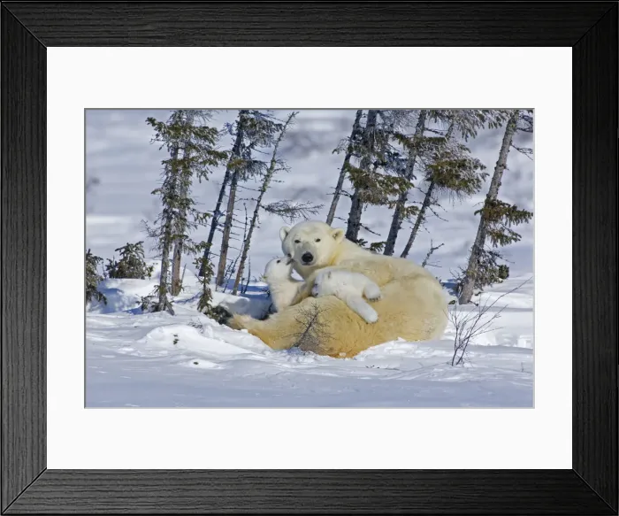 Framed Print : DDE-90028103