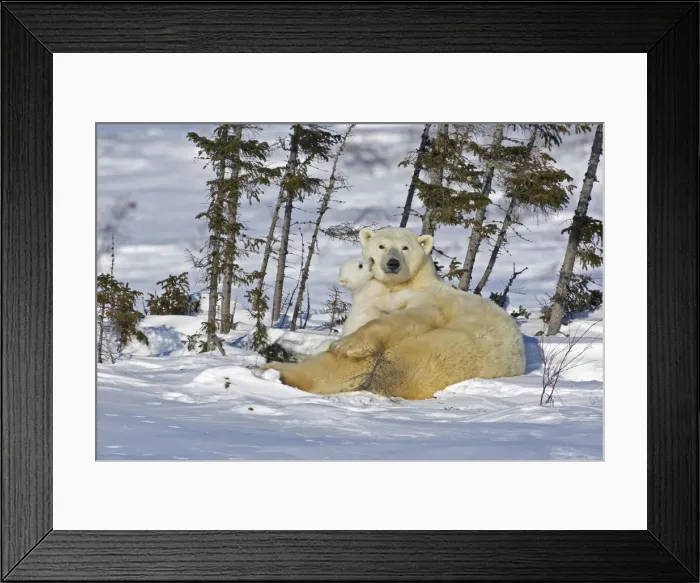 Framed Print : DDE-90028105 Framed Print : DDE-90028105