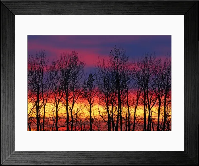 Framed Print : DDE-90028114 Framed Print : DDE-90028114