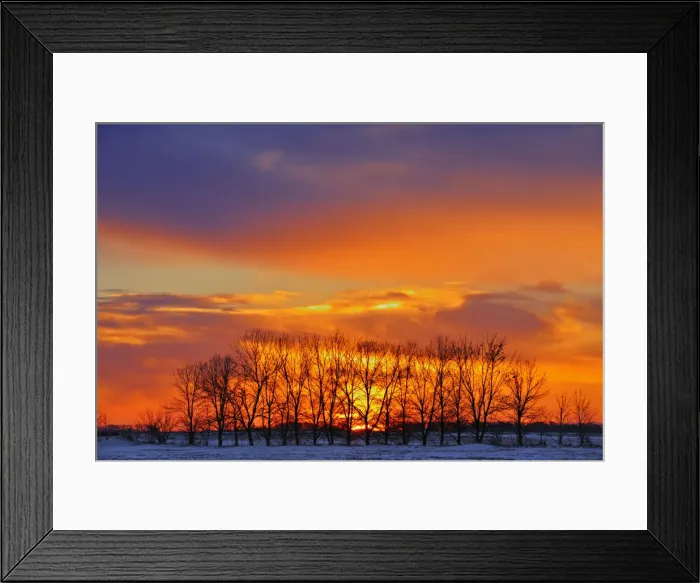 Framed Print : DDE-90028116