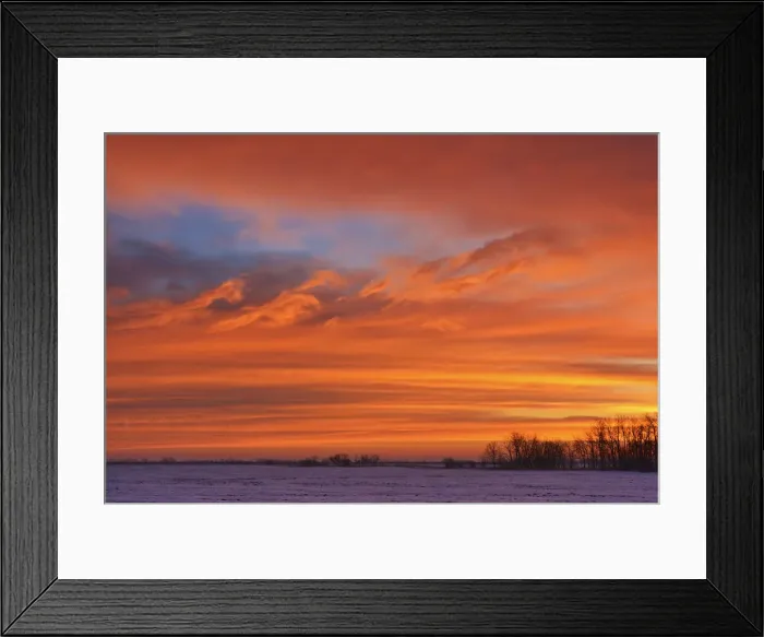 Framed Print : DDE-90028117 Framed Print : DDE-90028117