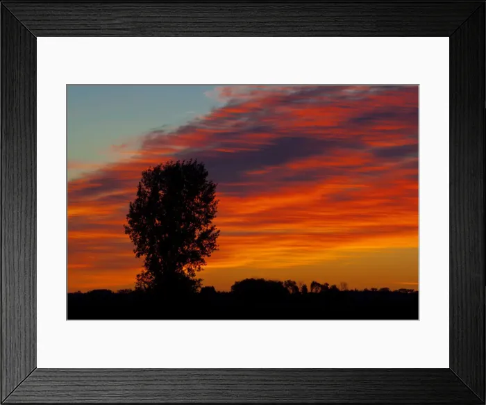 Framed Print : DDE-90028118 Framed Print : DDE-90028118
