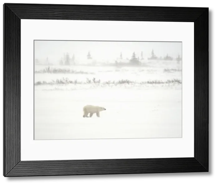 Framed Print : DDE-90028120 Framed Print : DDE-90028120