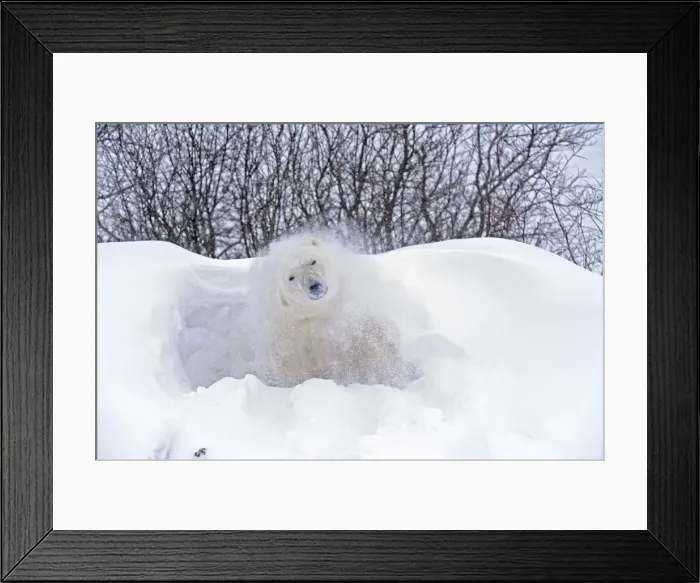 Framed Print : DDE-90028121 Framed Print : DDE-90028121