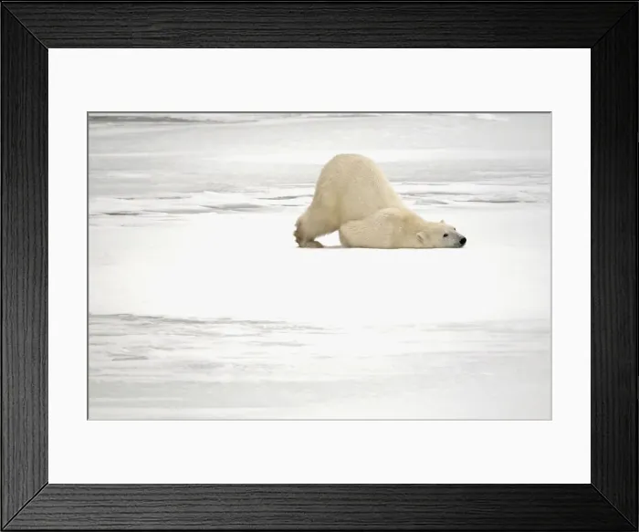 Framed Print : DDE-90028122 Framed Print : DDE-90028122