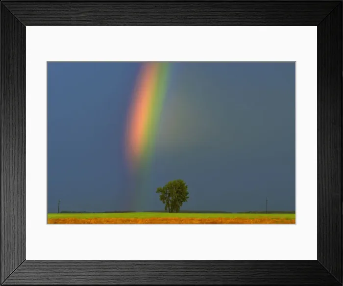 Framed Print : DDE-90028123 Framed Print : DDE-90028123