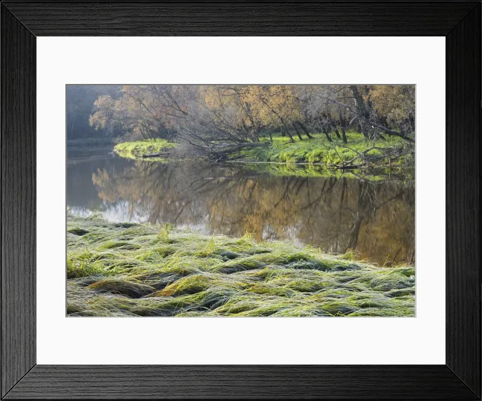 Framed Print : DDE-90028124 Framed Print : DDE-90028124