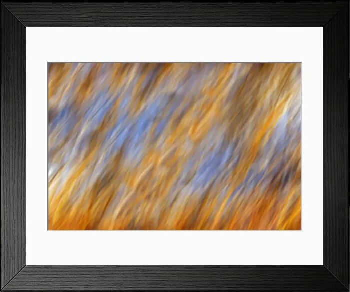 Framed Print : DDE-90028125 Framed Print : DDE-90028125