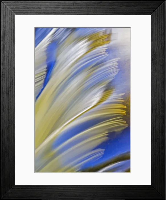 Framed Print : DDE-90028131 Framed Print : DDE-90028131