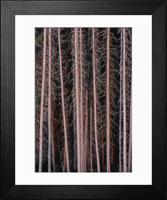 Framed Print : DDE-90028135 Framed Print : DDE-90028135