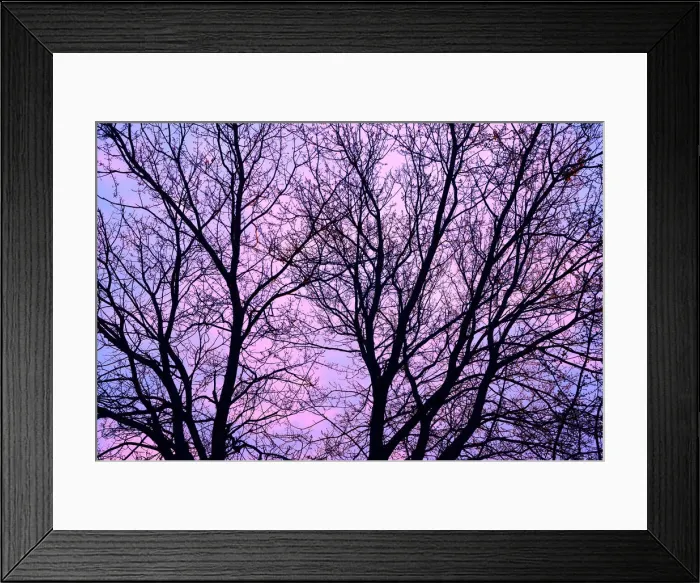 Framed Print : DDE-90028136 Framed Print : DDE-90028136