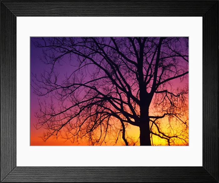 Framed Print : DDE-90028137 Framed Print : DDE-90028137