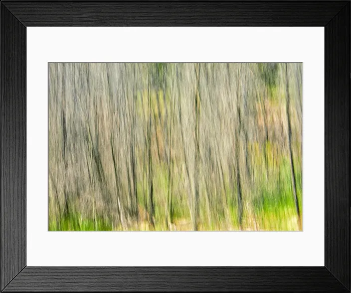Framed Print : DDE-90028140 Framed Print : DDE-90028140