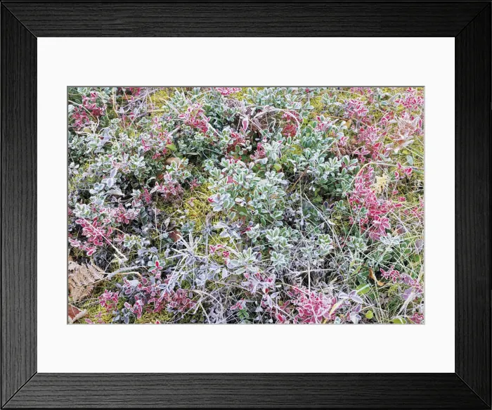 Framed Print : DDE-90028141 Framed Print : DDE-90028141