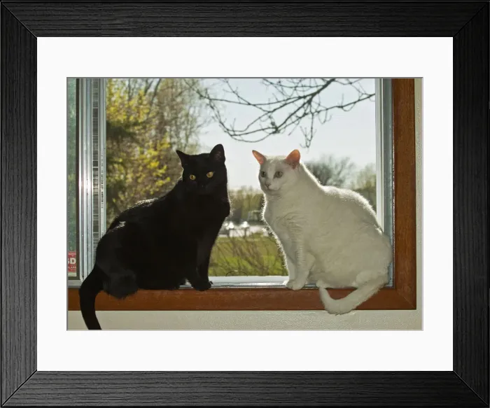 Framed Print : DDE-90028148 Framed Print : DDE-90028148