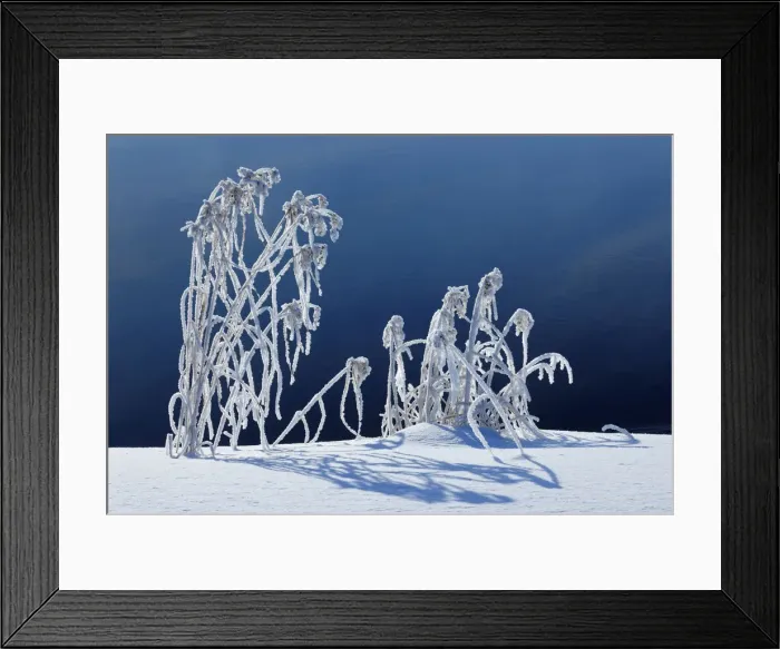 Framed Print : DDE-90028153