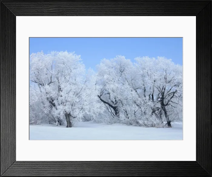 Framed Print : DDE-90028154 Framed Print : DDE-90028154