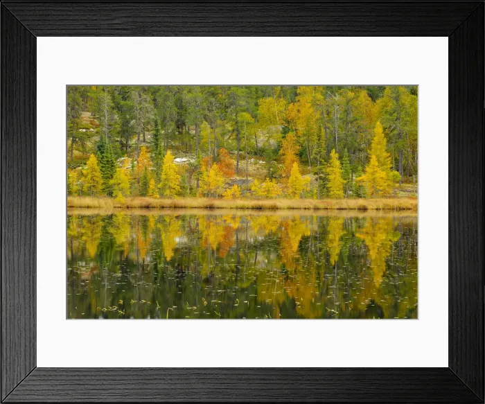 Framed Print : DDE-90028155 Framed Print : DDE-90028155