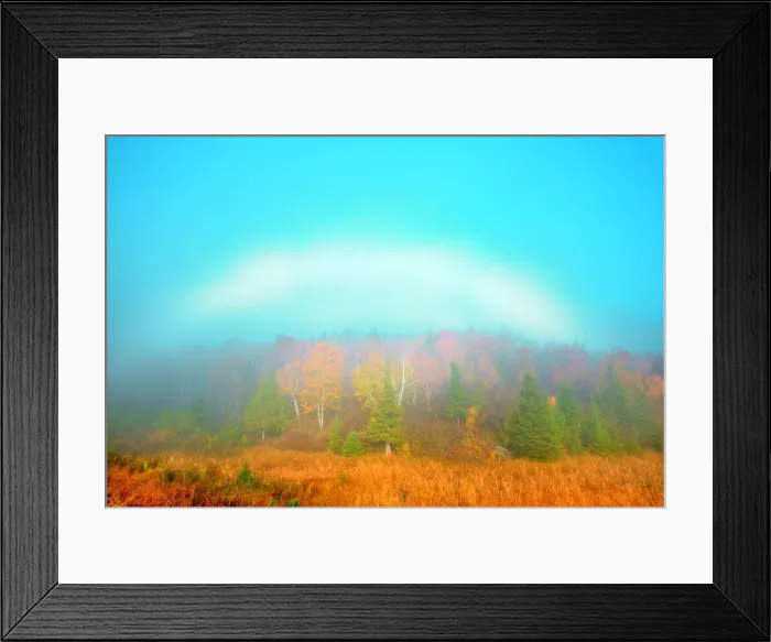 Framed Print : DDE-90028156 Framed Print : DDE-90028156