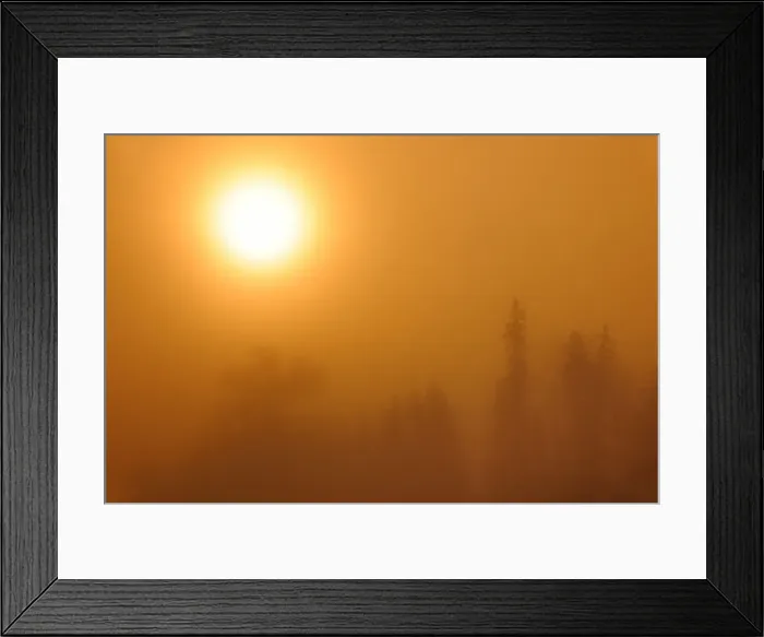 Framed Print : DDE-90028160 Framed Print : DDE-90028160