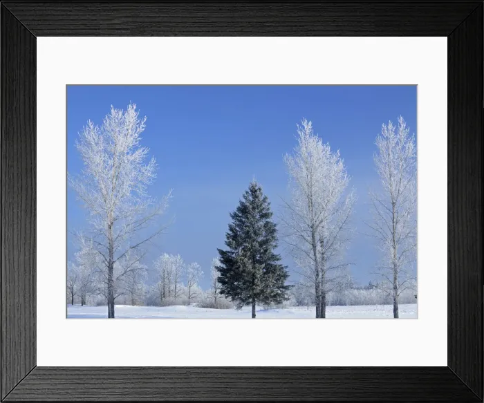 Framed Print : DDE-90028162 Framed Print : DDE-90028162