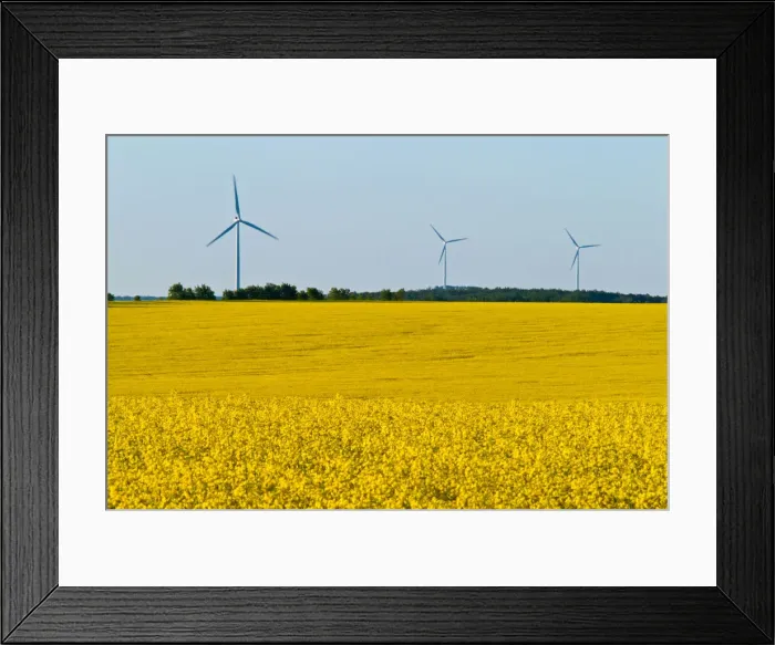 Framed Print : DDE-90028164 Framed Print : DDE-90028164