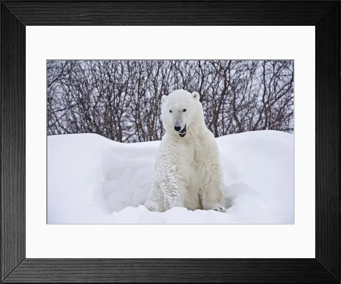 Framed Print : DDE-90028169 Framed Print : DDE-90028169