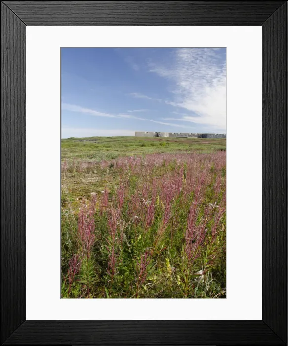 Framed Print : DDE-90028177 Framed Print : DDE-90028177