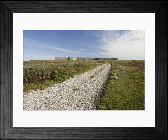 Framed Print : DDE-90028178