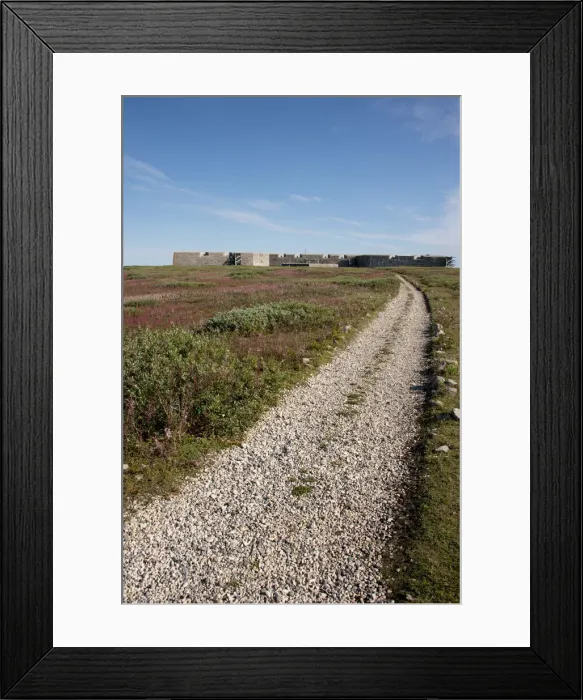Framed Print : DDE-90028179 Framed Print : DDE-90028179