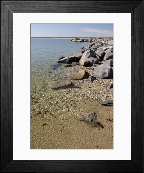 Framed Print : DDE-90028181 Framed Print : DDE-90028181