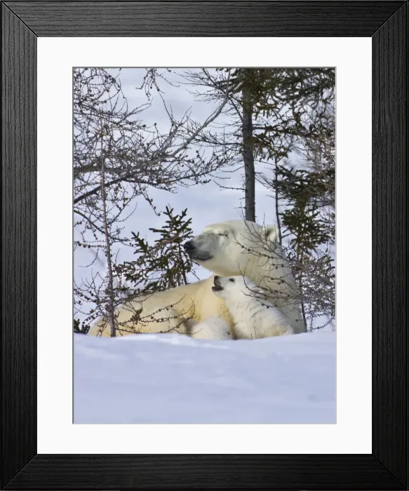 Framed Print : DDE-90028199 Framed Print : DDE-90028199